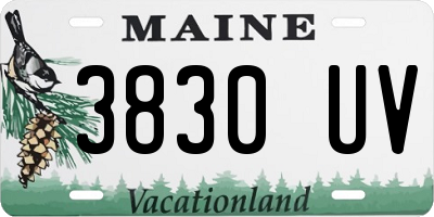 ME license plate 3830UV