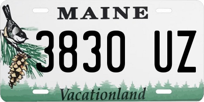 ME license plate 3830UZ