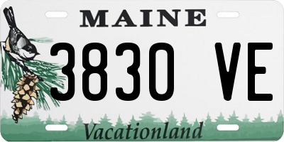 ME license plate 3830VE