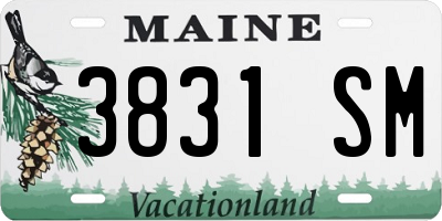 ME license plate 3831SM
