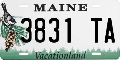 ME license plate 3831TA