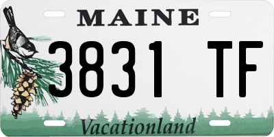 ME license plate 3831TF