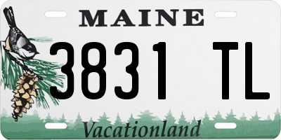 ME license plate 3831TL
