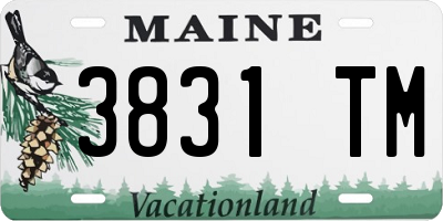 ME license plate 3831TM