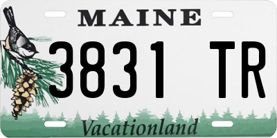 ME license plate 3831TR