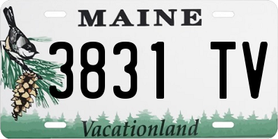 ME license plate 3831TV