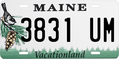 ME license plate 3831UM