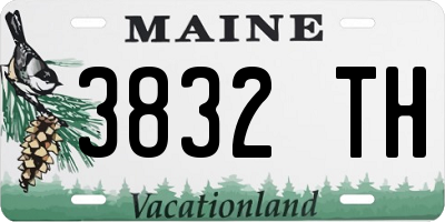 ME license plate 3832TH