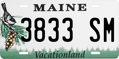 ME license plate 3833SM