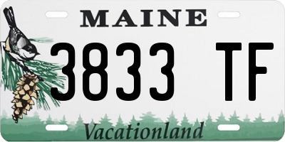 ME license plate 3833TF