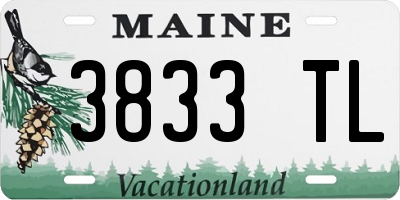 ME license plate 3833TL
