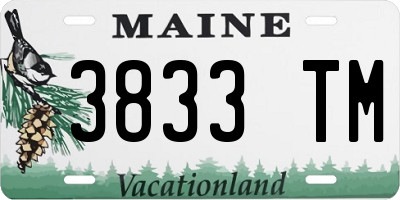 ME license plate 3833TM