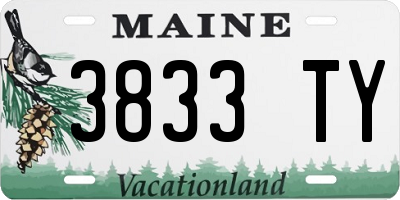 ME license plate 3833TY