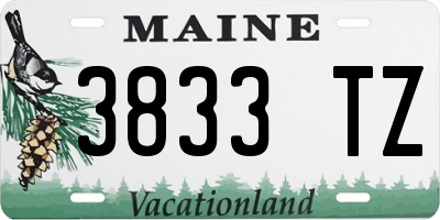 ME license plate 3833TZ