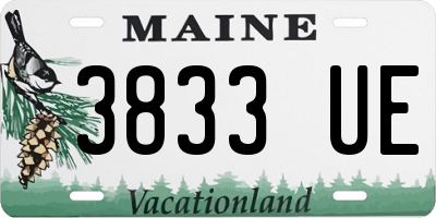 ME license plate 3833UE