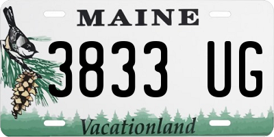 ME license plate 3833UG