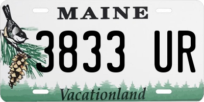 ME license plate 3833UR