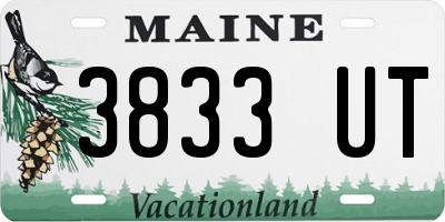 ME license plate 3833UT