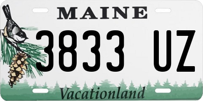 ME license plate 3833UZ