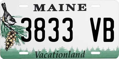 ME license plate 3833VB