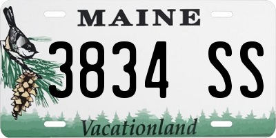 ME license plate 3834SS