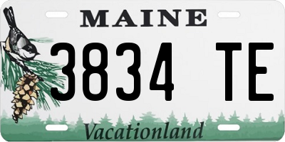 ME license plate 3834TE