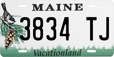 ME license plate 3834TJ