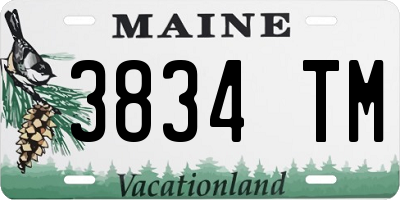 ME license plate 3834TM
