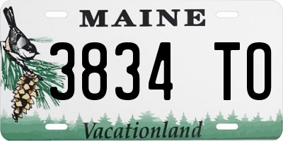 ME license plate 3834TO