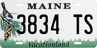 ME license plate 3834TS
