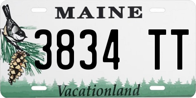 ME license plate 3834TT
