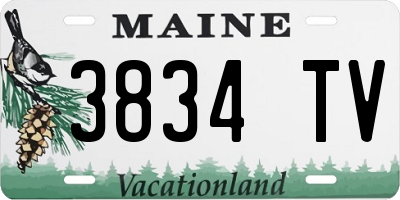 ME license plate 3834TV