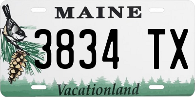ME license plate 3834TX