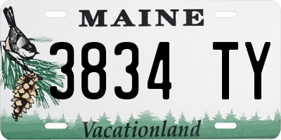 ME license plate 3834TY