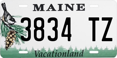 ME license plate 3834TZ
