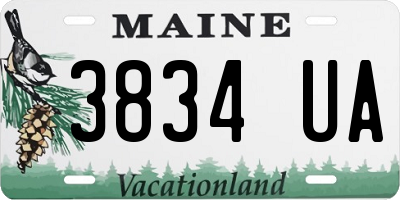 ME license plate 3834UA