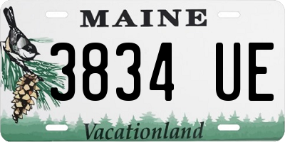 ME license plate 3834UE