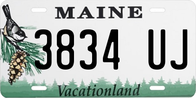 ME license plate 3834UJ