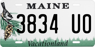 ME license plate 3834UO