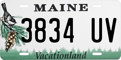 ME license plate 3834UV