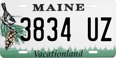 ME license plate 3834UZ