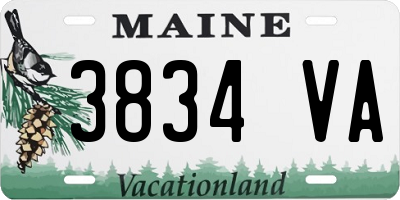 ME license plate 3834VA