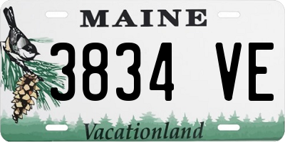 ME license plate 3834VE