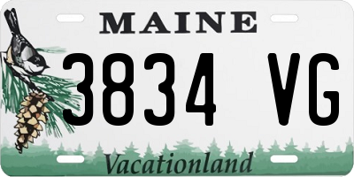 ME license plate 3834VG