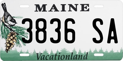 ME license plate 3836SA