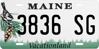 ME license plate 3836SG