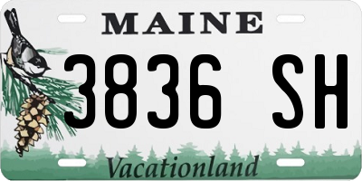 ME license plate 3836SH