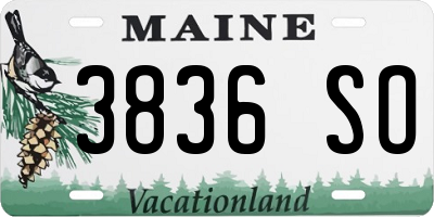 ME license plate 3836SO