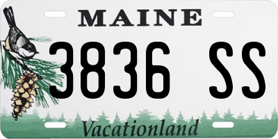 ME license plate 3836SS