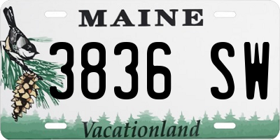 ME license plate 3836SW